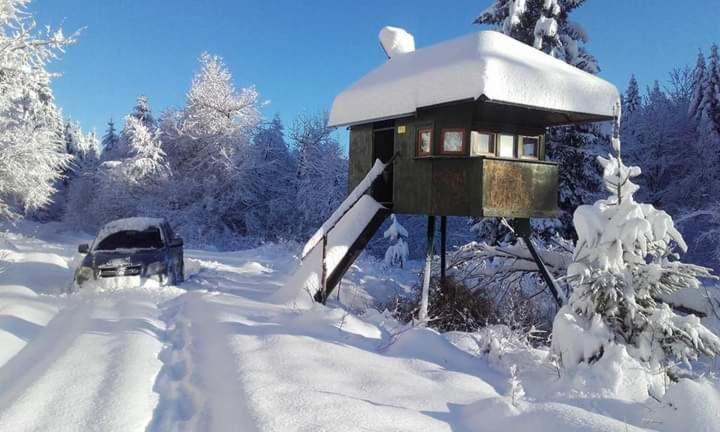 Apartman Gomirje Vrbovsko Esterno foto