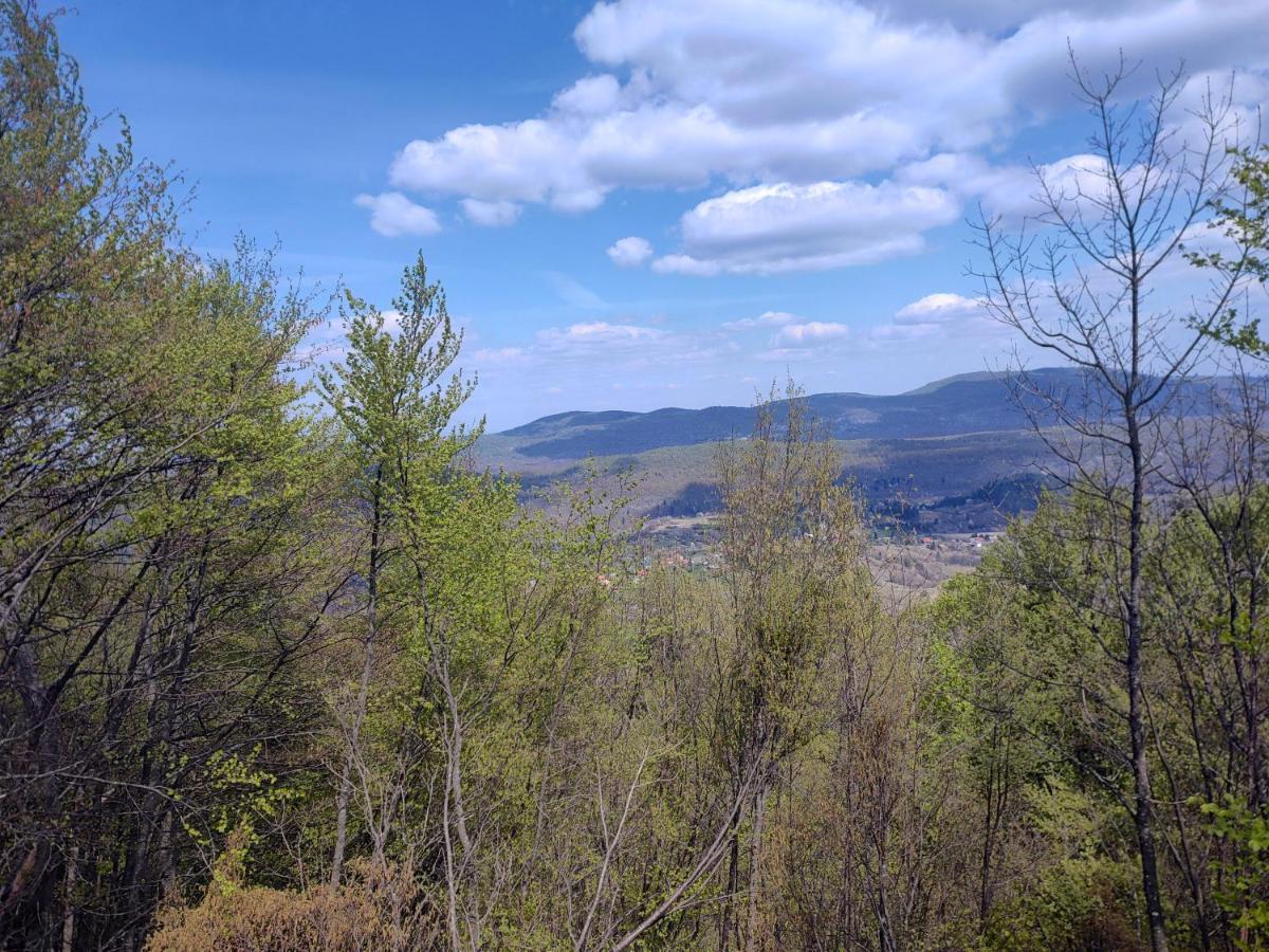 Apartman Gomirje Vrbovsko Esterno foto