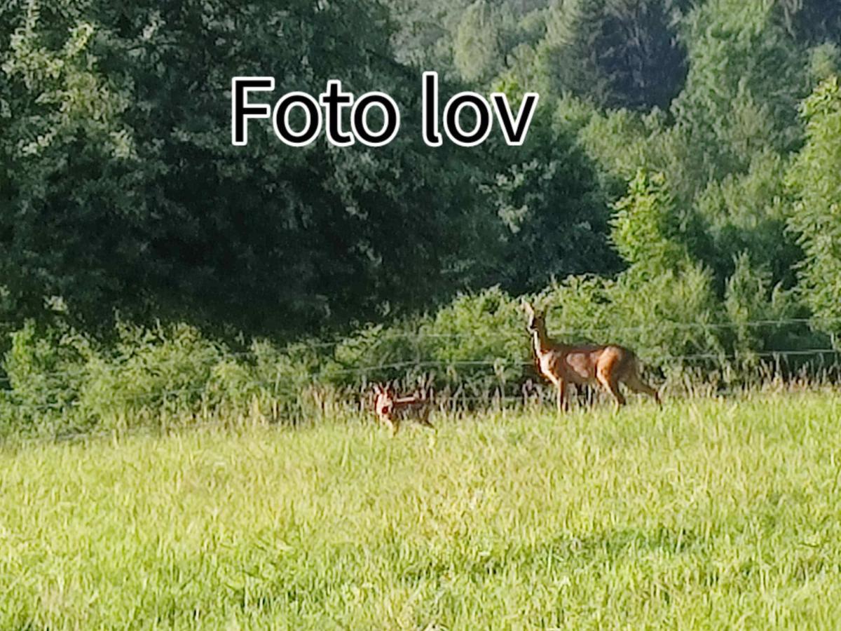 Apartman Gomirje Vrbovsko Esterno foto