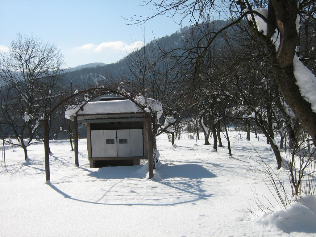 Apartman Gomirje Vrbovsko Esterno foto