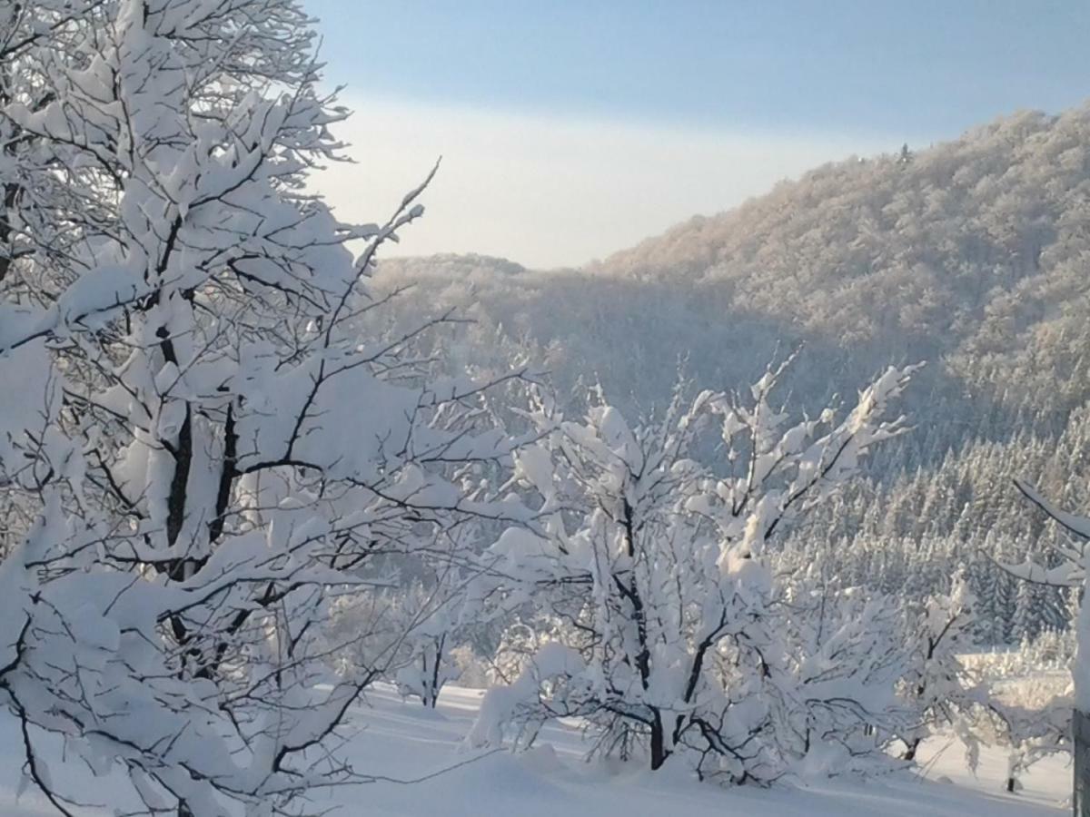 Apartman Gomirje Vrbovsko Esterno foto